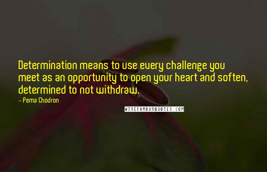 Pema Chodron Quotes: Determination means to use every challenge you meet as an opportunity to open your heart and soften, determined to not withdraw.