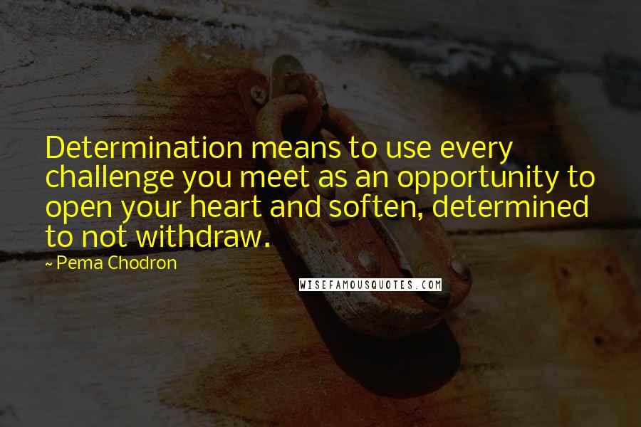 Pema Chodron Quotes: Determination means to use every challenge you meet as an opportunity to open your heart and soften, determined to not withdraw.