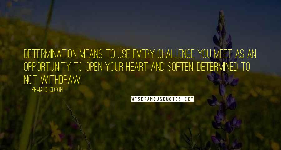 Pema Chodron Quotes: Determination means to use every challenge you meet as an opportunity to open your heart and soften, determined to not withdraw.