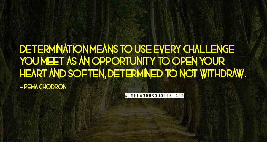 Pema Chodron Quotes: Determination means to use every challenge you meet as an opportunity to open your heart and soften, determined to not withdraw.