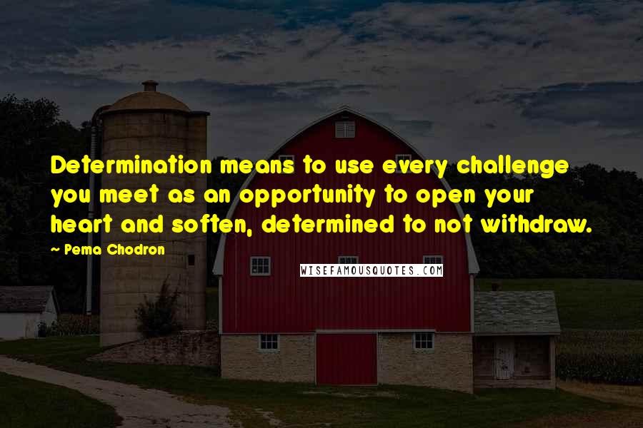 Pema Chodron Quotes: Determination means to use every challenge you meet as an opportunity to open your heart and soften, determined to not withdraw.