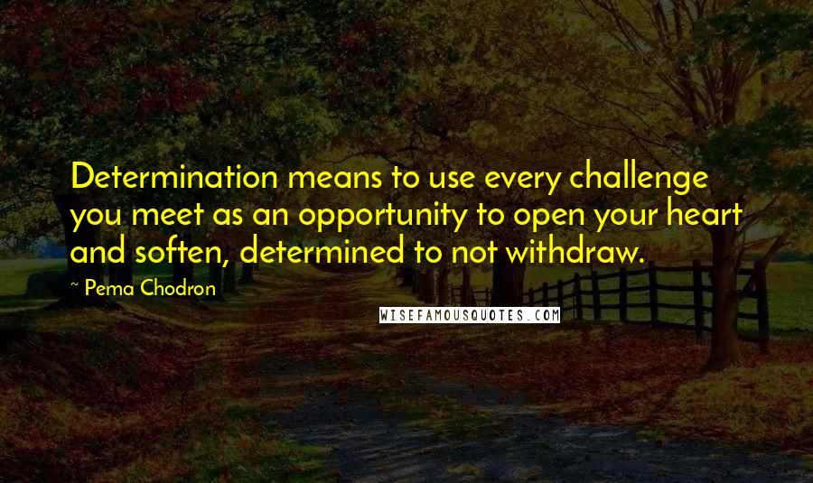 Pema Chodron Quotes: Determination means to use every challenge you meet as an opportunity to open your heart and soften, determined to not withdraw.