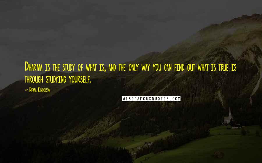 Pema Chodron Quotes: Dharma is the study of what is, and the only way you can find out what is true is through studying yourself.