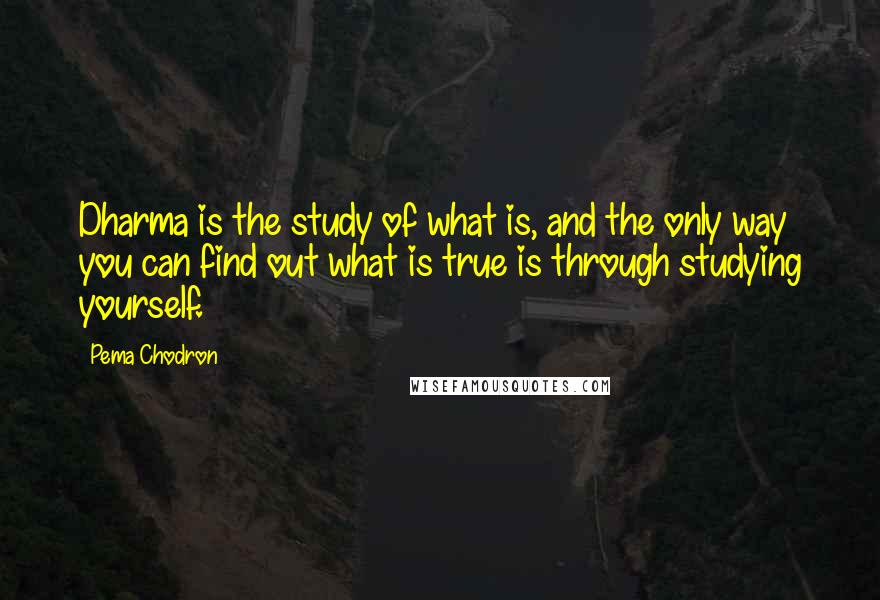 Pema Chodron Quotes: Dharma is the study of what is, and the only way you can find out what is true is through studying yourself.