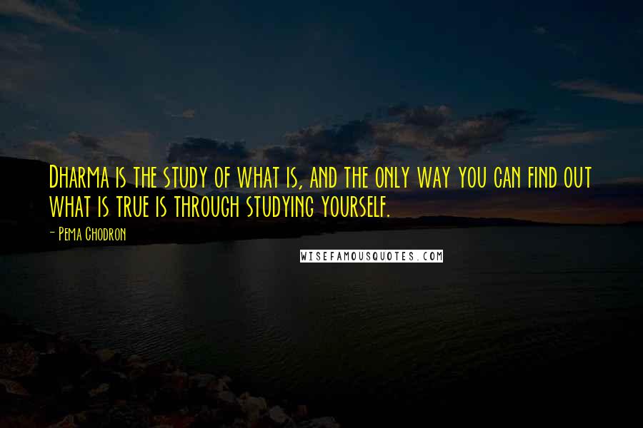 Pema Chodron Quotes: Dharma is the study of what is, and the only way you can find out what is true is through studying yourself.