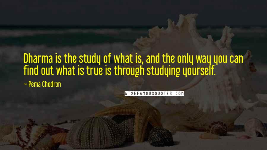 Pema Chodron Quotes: Dharma is the study of what is, and the only way you can find out what is true is through studying yourself.