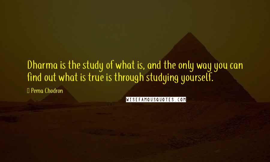 Pema Chodron Quotes: Dharma is the study of what is, and the only way you can find out what is true is through studying yourself.