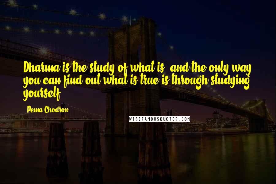 Pema Chodron Quotes: Dharma is the study of what is, and the only way you can find out what is true is through studying yourself.