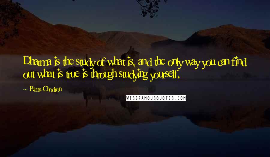 Pema Chodron Quotes: Dharma is the study of what is, and the only way you can find out what is true is through studying yourself.