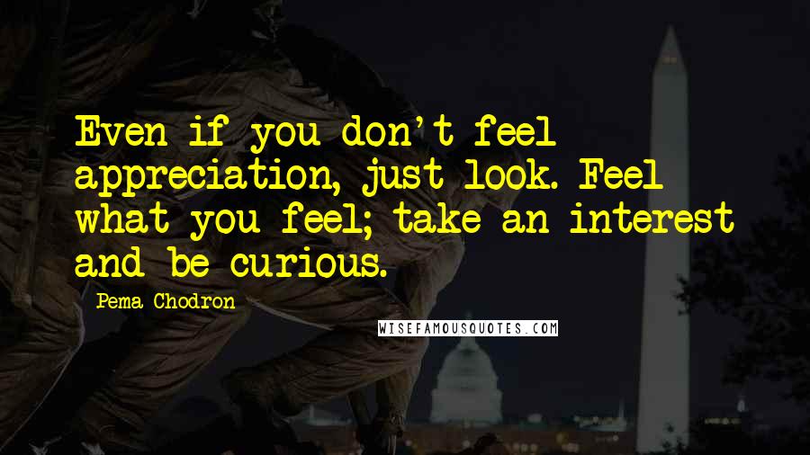 Pema Chodron Quotes: Even if you don't feel appreciation, just look. Feel what you feel; take an interest and be curious.