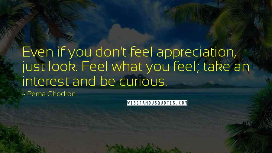 Pema Chodron Quotes: Even if you don't feel appreciation, just look. Feel what you feel; take an interest and be curious.