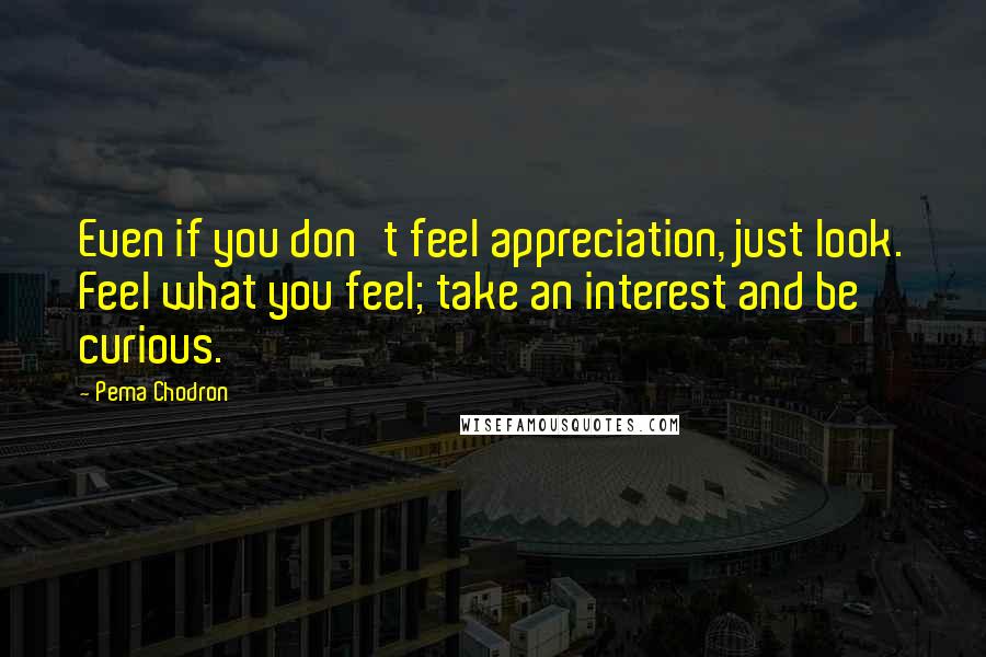 Pema Chodron Quotes: Even if you don't feel appreciation, just look. Feel what you feel; take an interest and be curious.