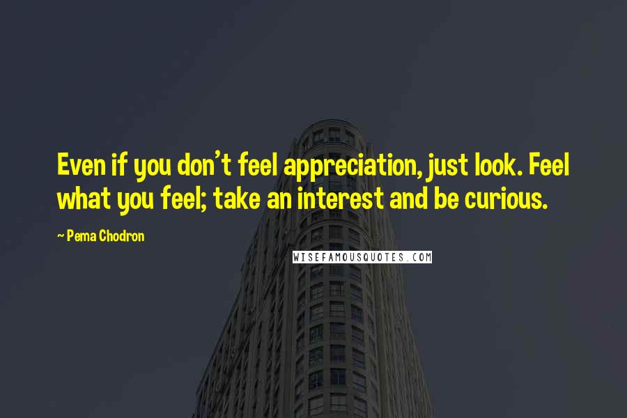 Pema Chodron Quotes: Even if you don't feel appreciation, just look. Feel what you feel; take an interest and be curious.