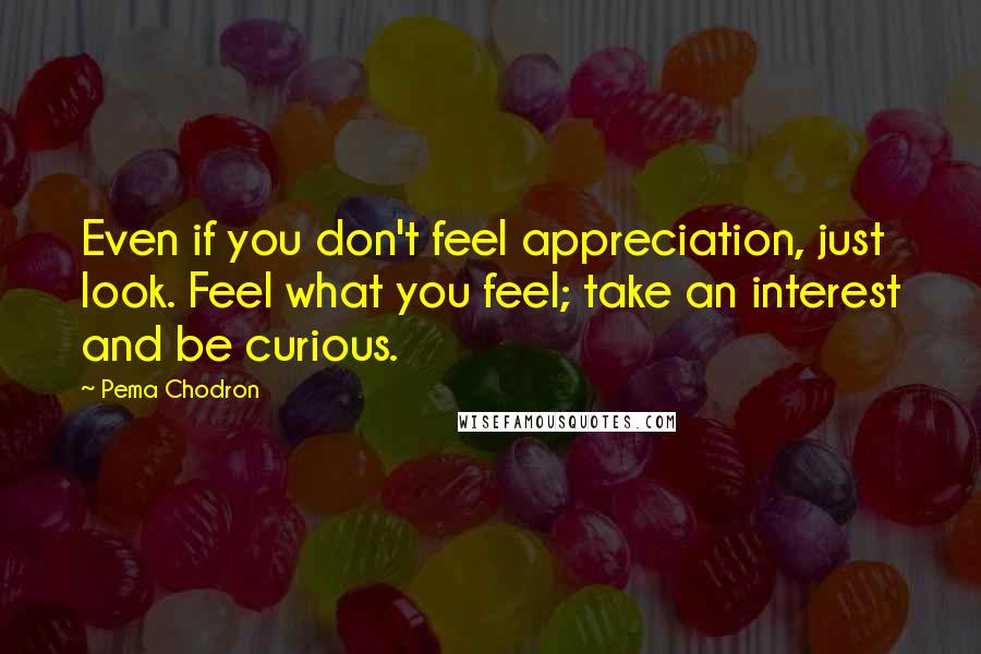 Pema Chodron Quotes: Even if you don't feel appreciation, just look. Feel what you feel; take an interest and be curious.