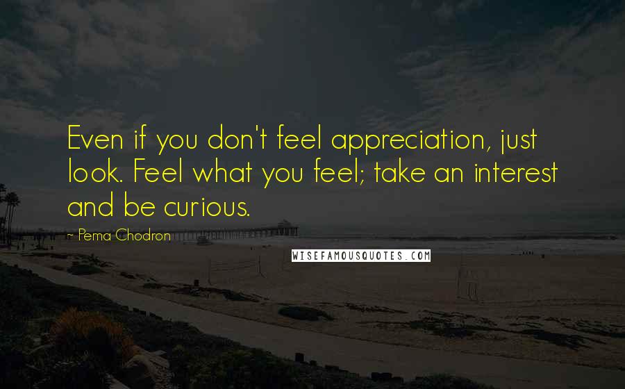 Pema Chodron Quotes: Even if you don't feel appreciation, just look. Feel what you feel; take an interest and be curious.