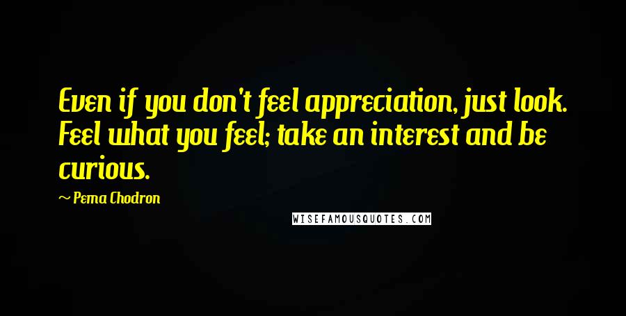 Pema Chodron Quotes: Even if you don't feel appreciation, just look. Feel what you feel; take an interest and be curious.