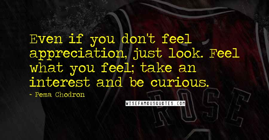 Pema Chodron Quotes: Even if you don't feel appreciation, just look. Feel what you feel; take an interest and be curious.