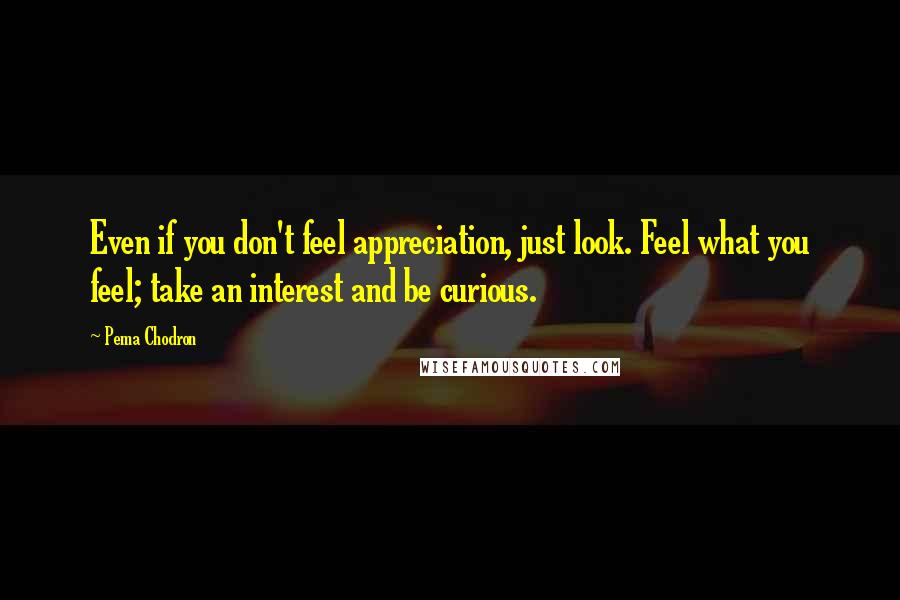 Pema Chodron Quotes: Even if you don't feel appreciation, just look. Feel what you feel; take an interest and be curious.