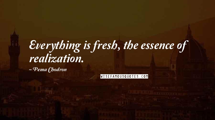 Pema Chodron Quotes: Everything is fresh, the essence of realization.
