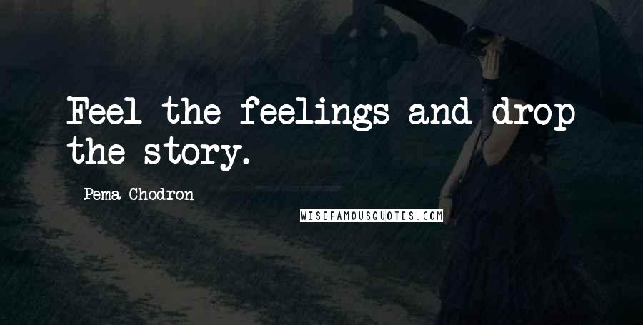 Pema Chodron Quotes: Feel the feelings and drop the story.