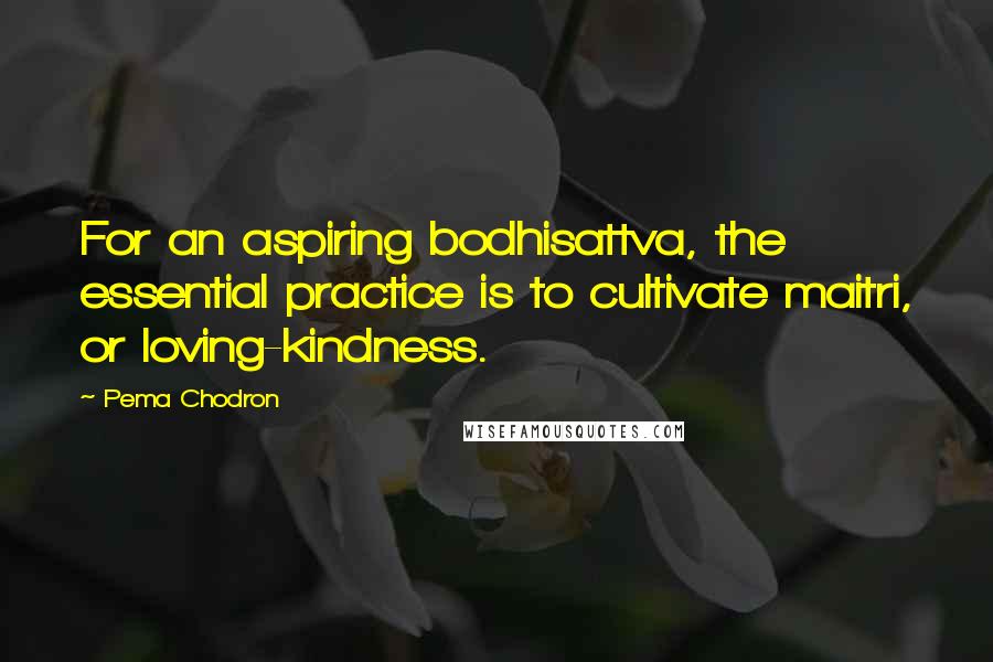 Pema Chodron Quotes: For an aspiring bodhisattva, the essential practice is to cultivate maitri, or loving-kindness.