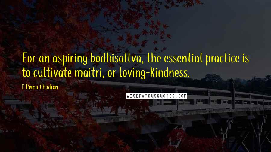 Pema Chodron Quotes: For an aspiring bodhisattva, the essential practice is to cultivate maitri, or loving-kindness.