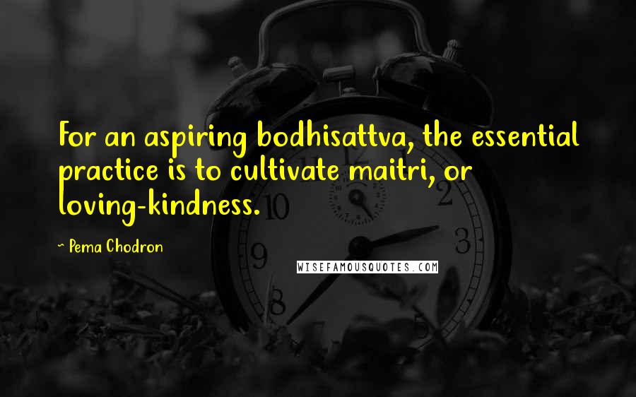 Pema Chodron Quotes: For an aspiring bodhisattva, the essential practice is to cultivate maitri, or loving-kindness.