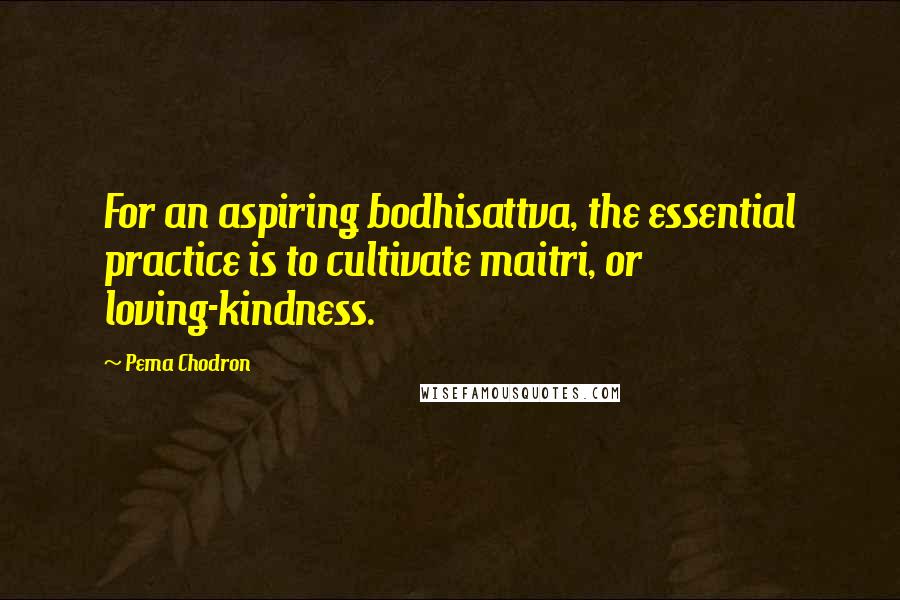 Pema Chodron Quotes: For an aspiring bodhisattva, the essential practice is to cultivate maitri, or loving-kindness.