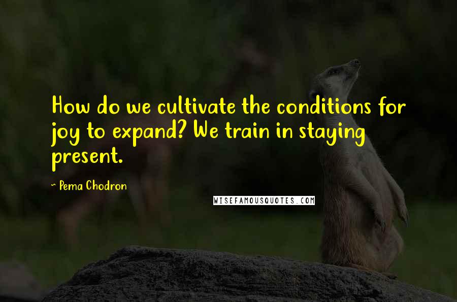 Pema Chodron Quotes: How do we cultivate the conditions for joy to expand? We train in staying present.