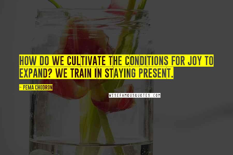 Pema Chodron Quotes: How do we cultivate the conditions for joy to expand? We train in staying present.