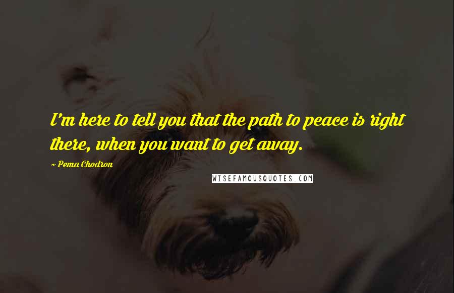 Pema Chodron Quotes: I'm here to tell you that the path to peace is right there, when you want to get away.