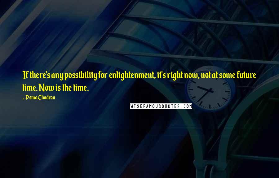 Pema Chodron Quotes: If there's any possibility for enlightenment, it's right now, not at some future time. Now is the time.