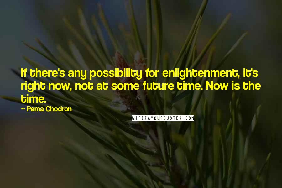 Pema Chodron Quotes: If there's any possibility for enlightenment, it's right now, not at some future time. Now is the time.