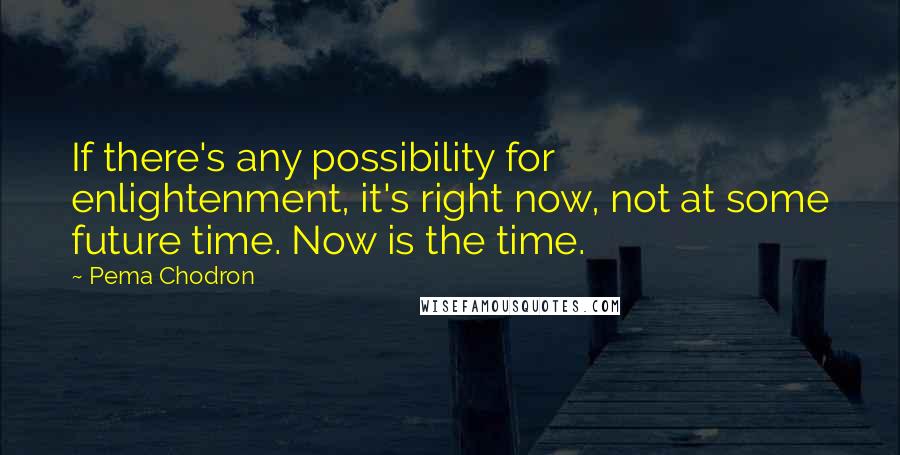 Pema Chodron Quotes: If there's any possibility for enlightenment, it's right now, not at some future time. Now is the time.