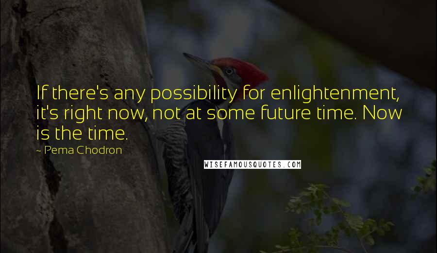 Pema Chodron Quotes: If there's any possibility for enlightenment, it's right now, not at some future time. Now is the time.