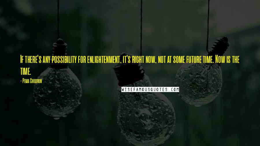 Pema Chodron Quotes: If there's any possibility for enlightenment, it's right now, not at some future time. Now is the time.