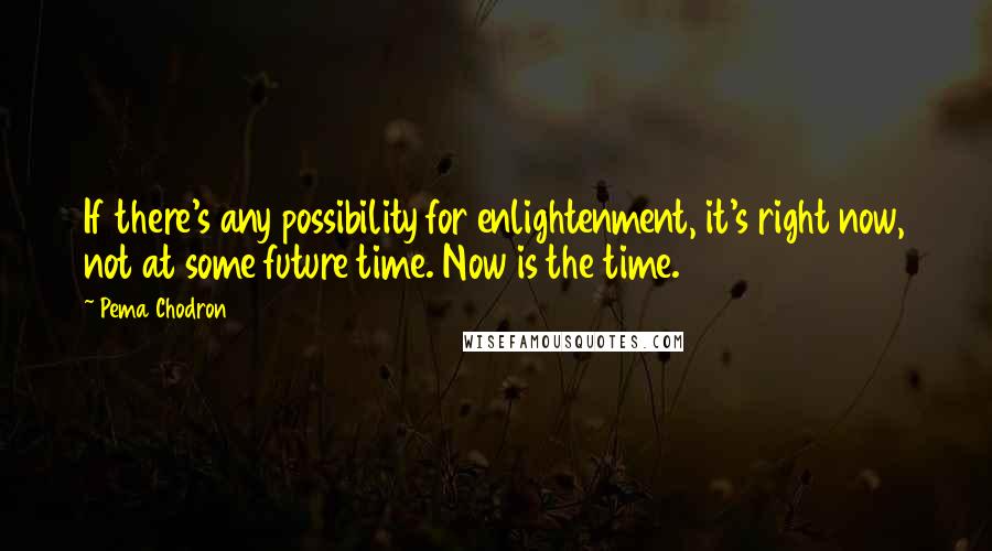 Pema Chodron Quotes: If there's any possibility for enlightenment, it's right now, not at some future time. Now is the time.