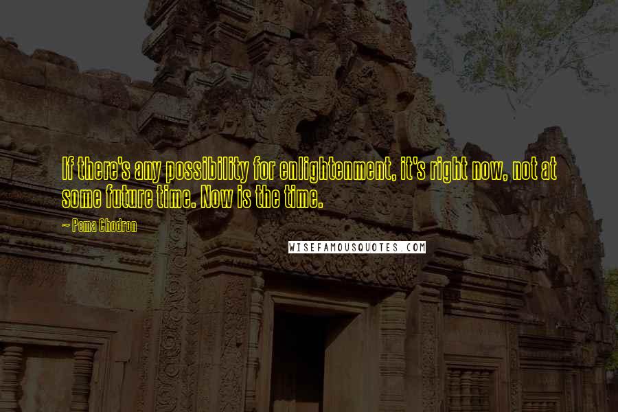 Pema Chodron Quotes: If there's any possibility for enlightenment, it's right now, not at some future time. Now is the time.