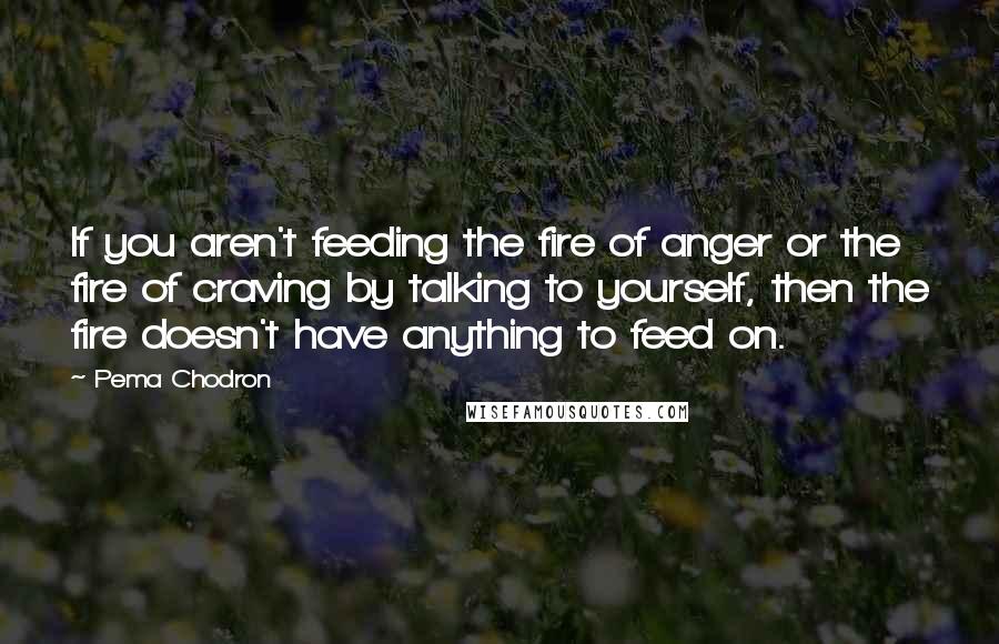 Pema Chodron Quotes: If you aren't feeding the fire of anger or the fire of craving by talking to yourself, then the fire doesn't have anything to feed on.