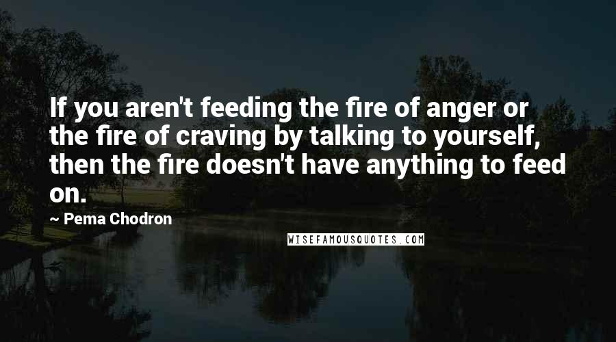 Pema Chodron Quotes: If you aren't feeding the fire of anger or the fire of craving by talking to yourself, then the fire doesn't have anything to feed on.