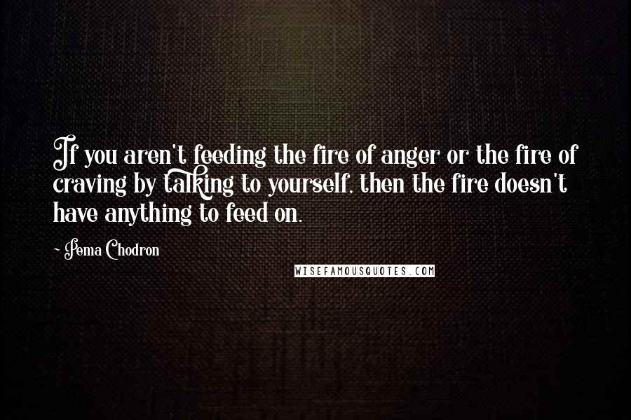 Pema Chodron Quotes: If you aren't feeding the fire of anger or the fire of craving by talking to yourself, then the fire doesn't have anything to feed on.