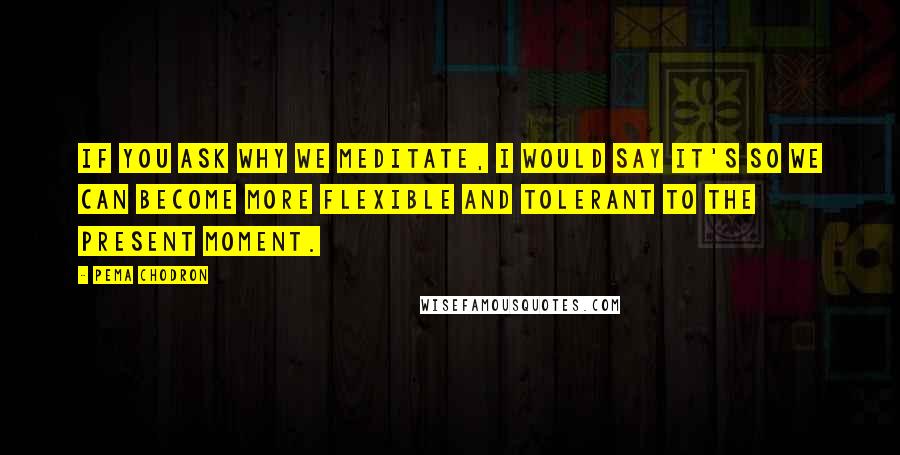 Pema Chodron Quotes: If you ask why we meditate, I would say it's so we can become more flexible and tolerant to the present moment.