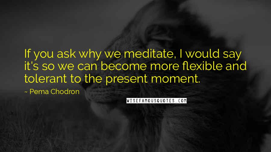 Pema Chodron Quotes: If you ask why we meditate, I would say it's so we can become more flexible and tolerant to the present moment.