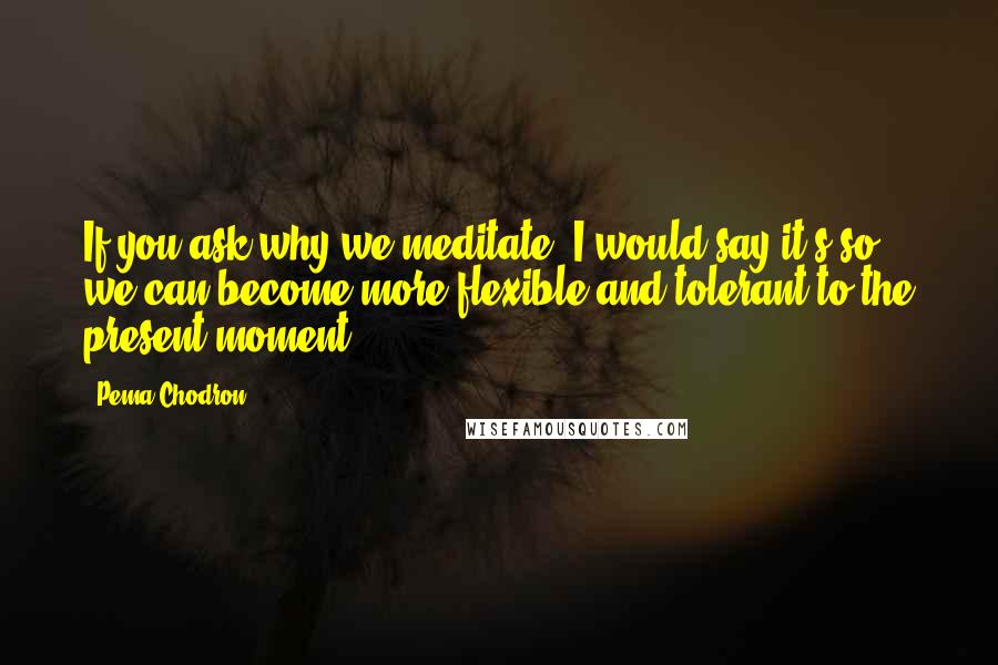 Pema Chodron Quotes: If you ask why we meditate, I would say it's so we can become more flexible and tolerant to the present moment.