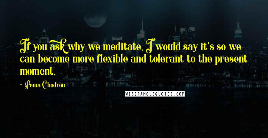 Pema Chodron Quotes: If you ask why we meditate, I would say it's so we can become more flexible and tolerant to the present moment.