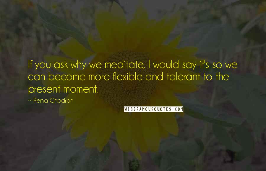 Pema Chodron Quotes: If you ask why we meditate, I would say it's so we can become more flexible and tolerant to the present moment.