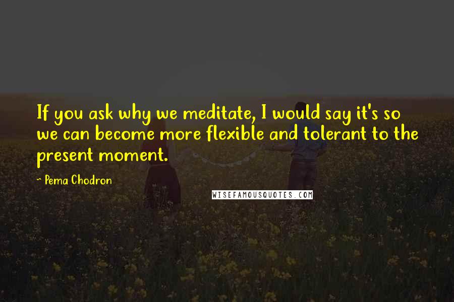 Pema Chodron Quotes: If you ask why we meditate, I would say it's so we can become more flexible and tolerant to the present moment.