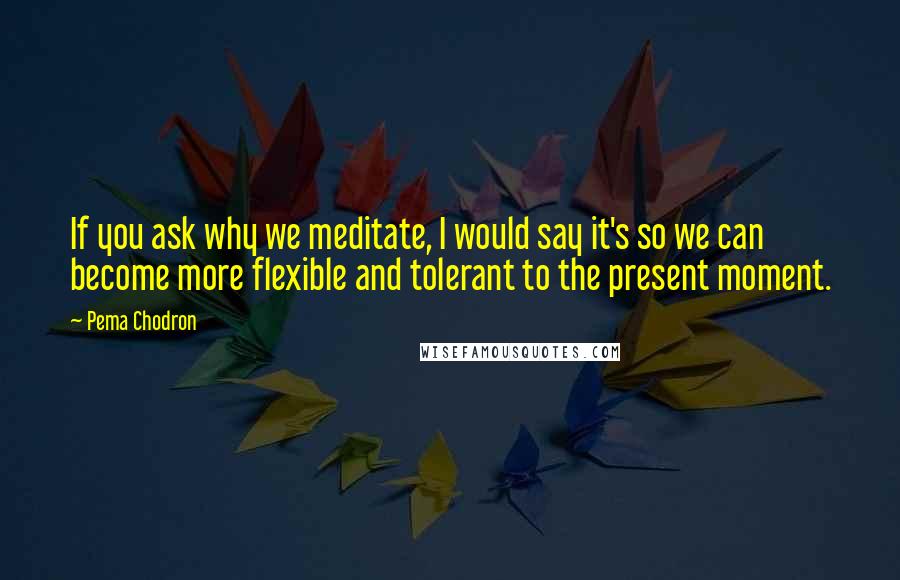 Pema Chodron Quotes: If you ask why we meditate, I would say it's so we can become more flexible and tolerant to the present moment.