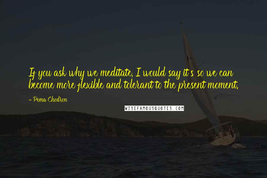 Pema Chodron Quotes: If you ask why we meditate, I would say it's so we can become more flexible and tolerant to the present moment.
