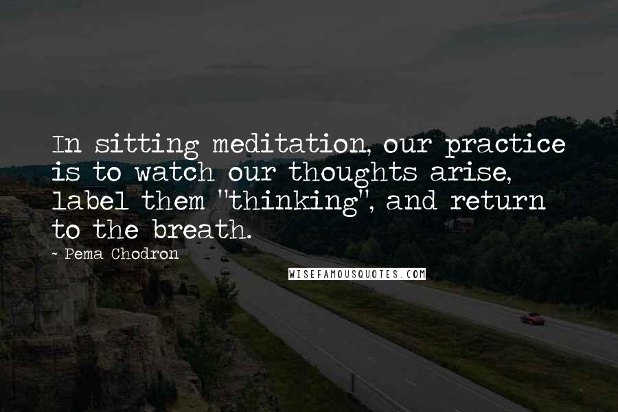 Pema Chodron Quotes: In sitting meditation, our practice is to watch our thoughts arise, label them "thinking", and return to the breath.